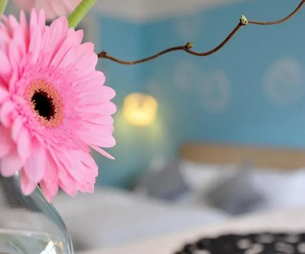 Guest house Stop & Sleep Fronte Ospedale Civile Udine