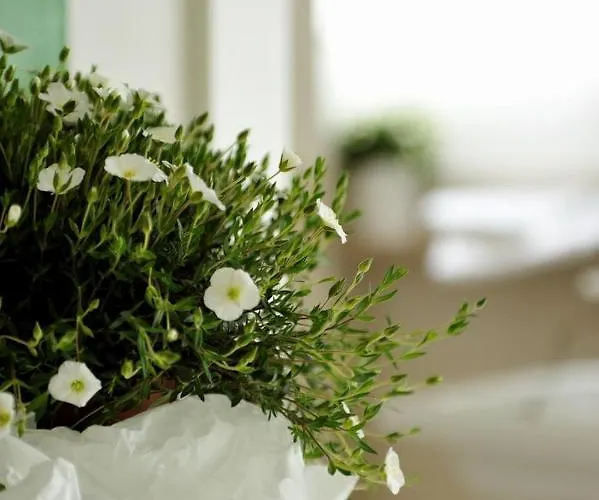 Stop & Sleep Fronte Ospedale Civile Guest house 3*