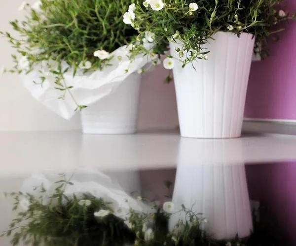 Guest house Stop & Sleep Fronte Ospedale Civile Udine